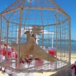 Linaw Beach Resort Panglao Island Bohol Weddings 038