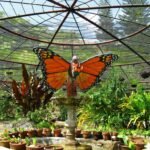 Butterfly Dome At Sagbayan Peak