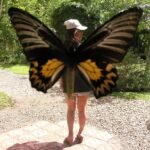 Butterfly Dome At Sagbayan Peak2