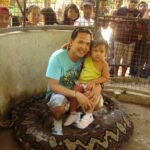 Snake Bohol